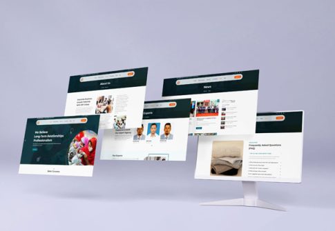 Website Developed for SKF Group